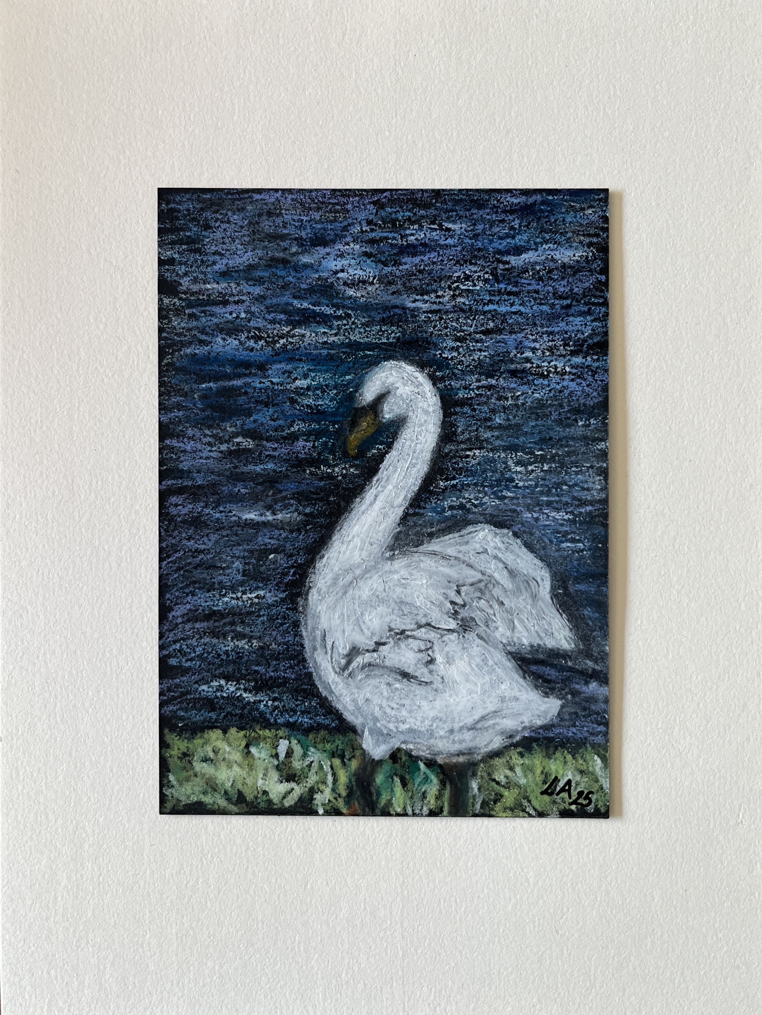 Mute Swan by the Lake