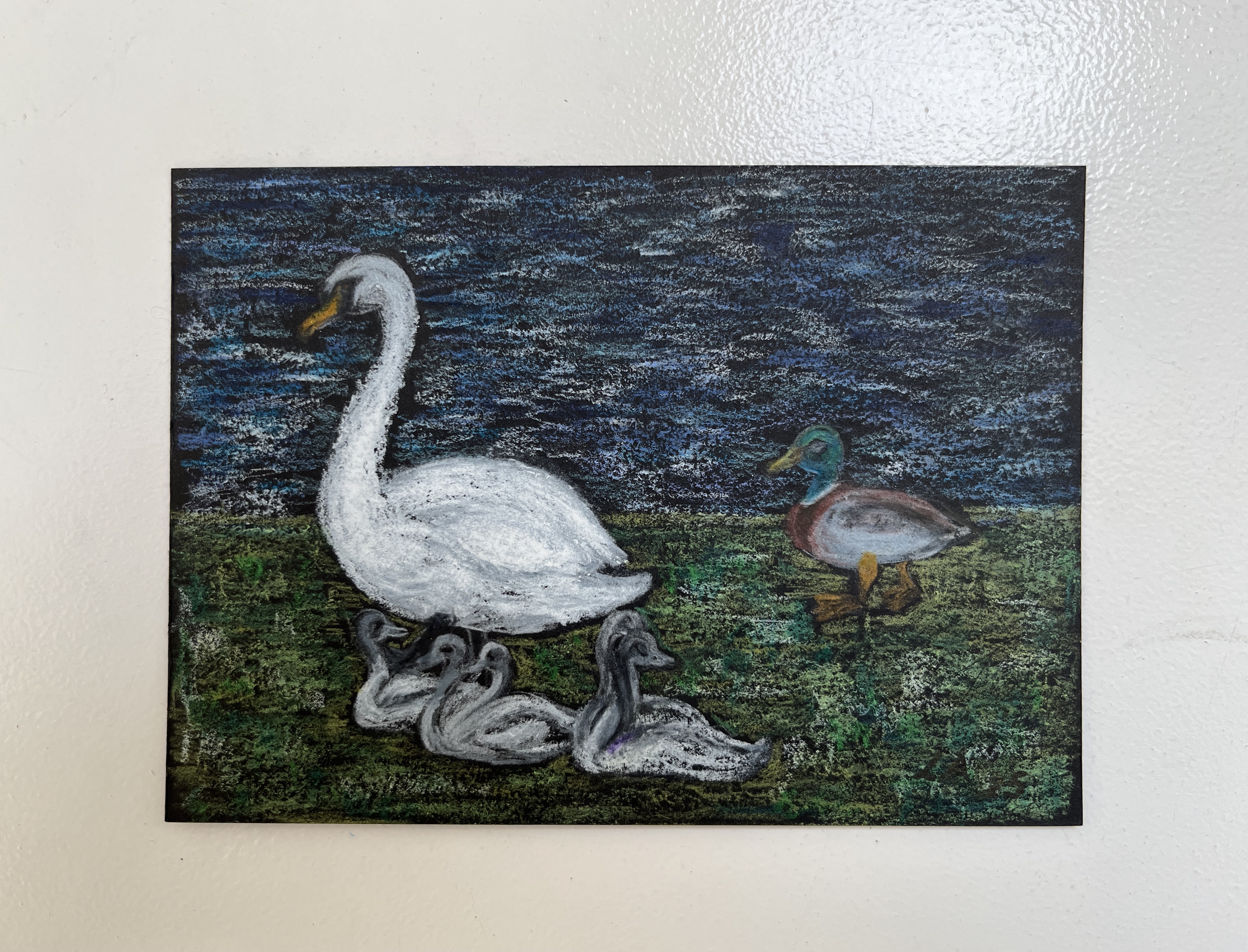 Swan with Cignets
